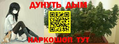 ГАЛЛЮЦИНОГЕННЫЕ ГРИБЫ Малоярославец