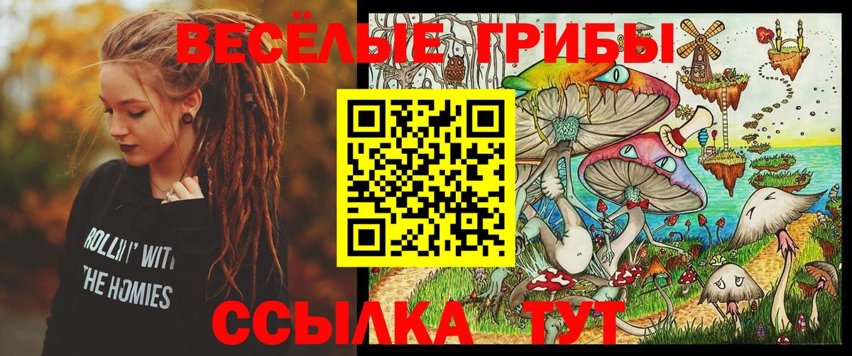 Ярославль  Галлюциногенные грибы прущие грибы  Псилоцибиновые грибы мухоморы  Вход с VPN 